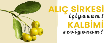 ALIÇ SİRKESİ VE KALBİM